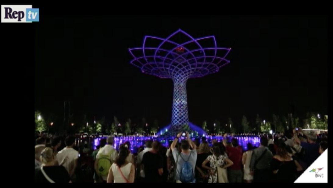 Expo, prima che cali il sipario: lo show by night dell’Albero della vita